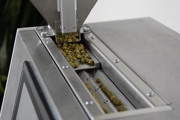 2026-02-11_15h36_28 2026-02-11_15h36_28