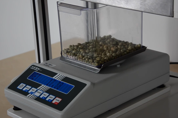 2026-02-11_15h37_46 2026-02-11_15h37_46